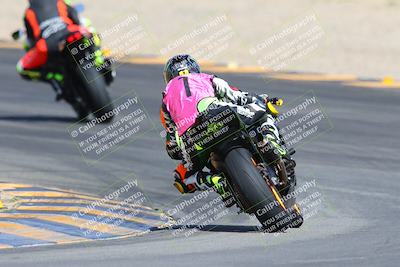 media/Mar-10-2024-SoCal Trackdays (Sun) [[6228d7c590]]/9-Turn 8 Backside (1150am)/